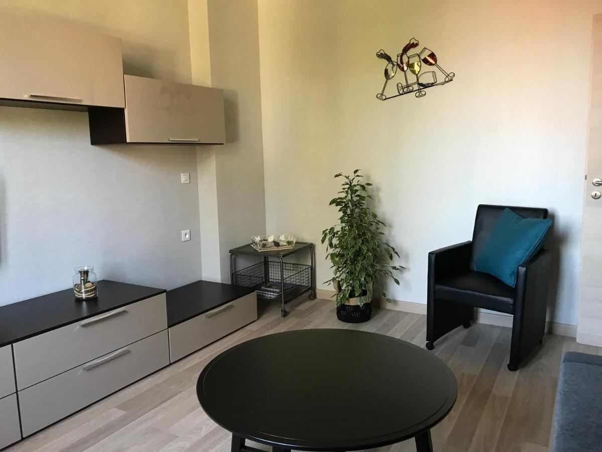 Le Coin De Frederic Apartment Colmar Exterior photo